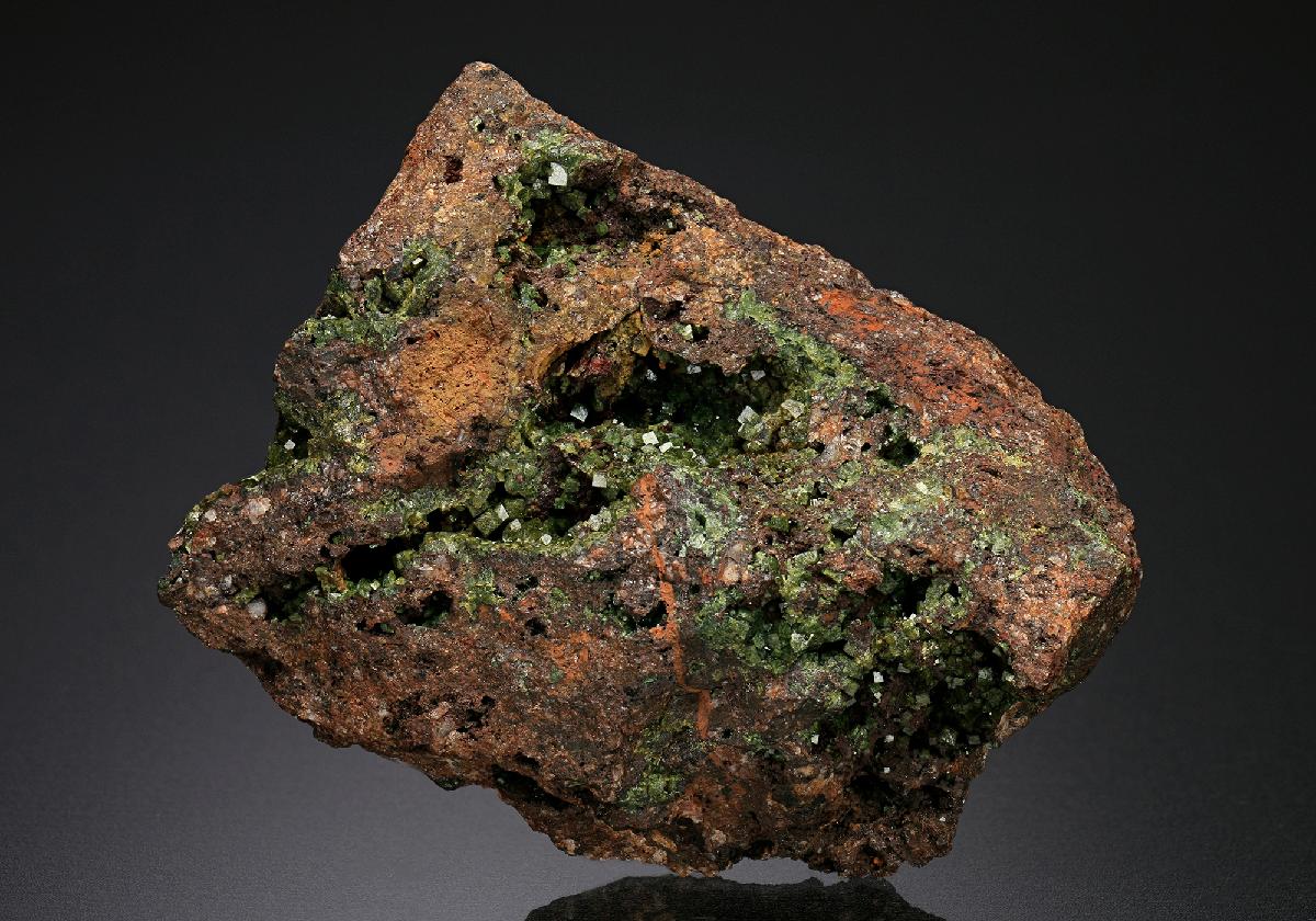 CC18710 specimen image