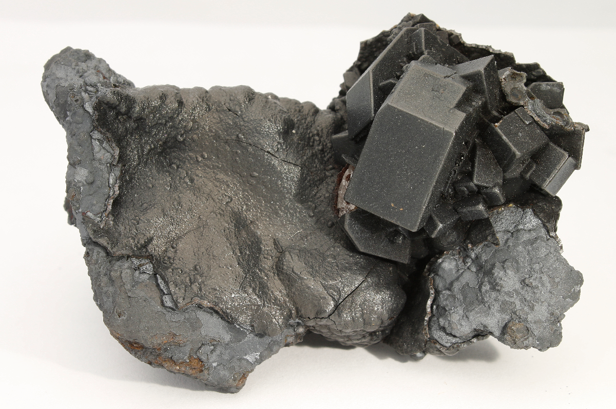 CC18714 specimen image