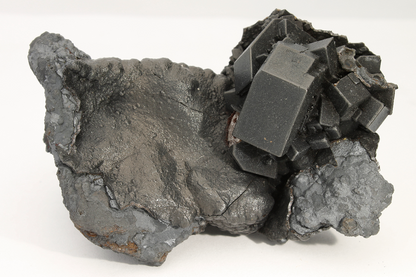 CC18714 specimen image
