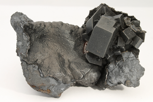 CC18714 specimen image