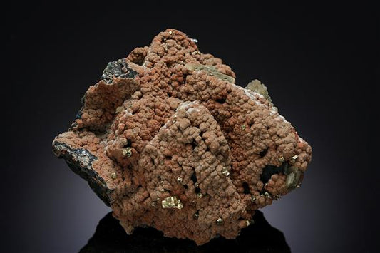 CC18717 specimen image