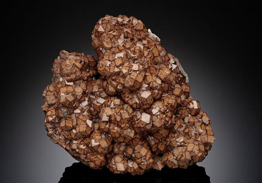 CC18725 specimen image