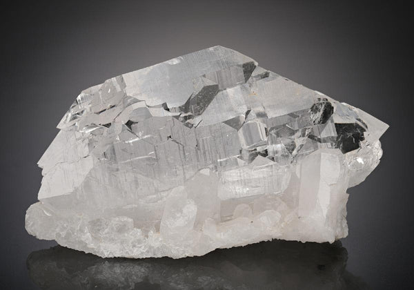 CC18731 specimen image