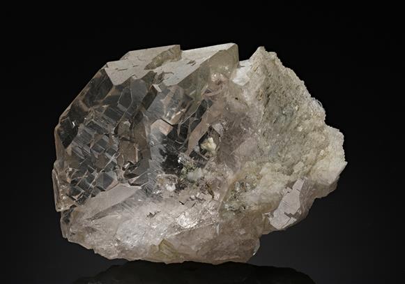 CC18737 specimen image