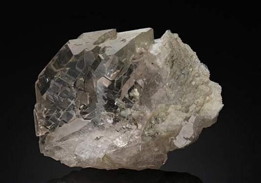 CC18737 specimen image