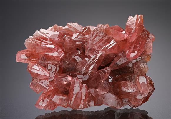 CC18740 specimen image