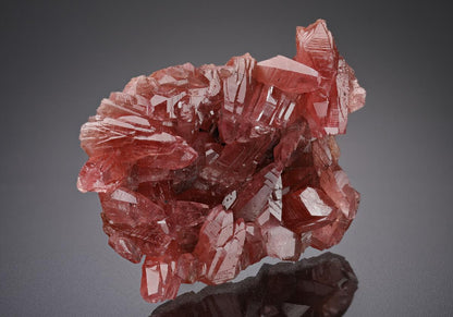 CC18740 specimen image