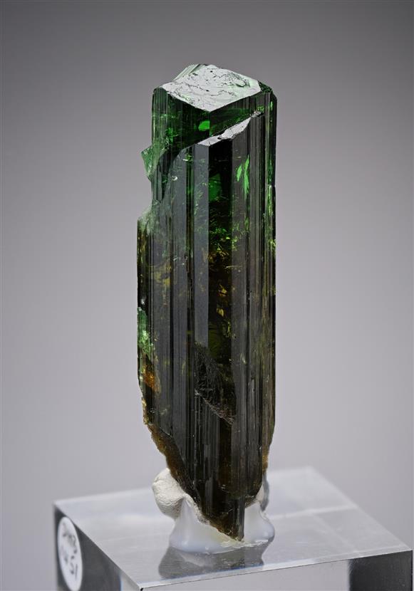 CC18744 specimen image