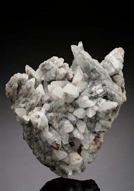 CC18748 specimen image