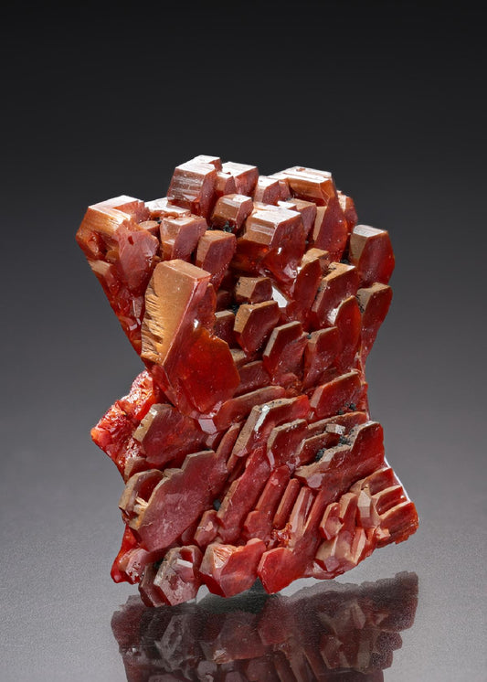 CC18784 specimen image