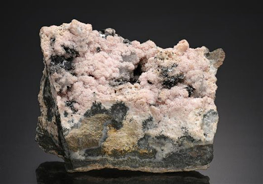 CC18791 specimen image