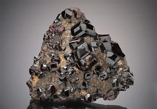 CC18804 specimen image