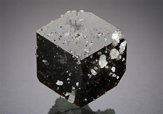 CC18808 specimen image