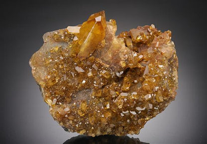 CC18828 specimen image