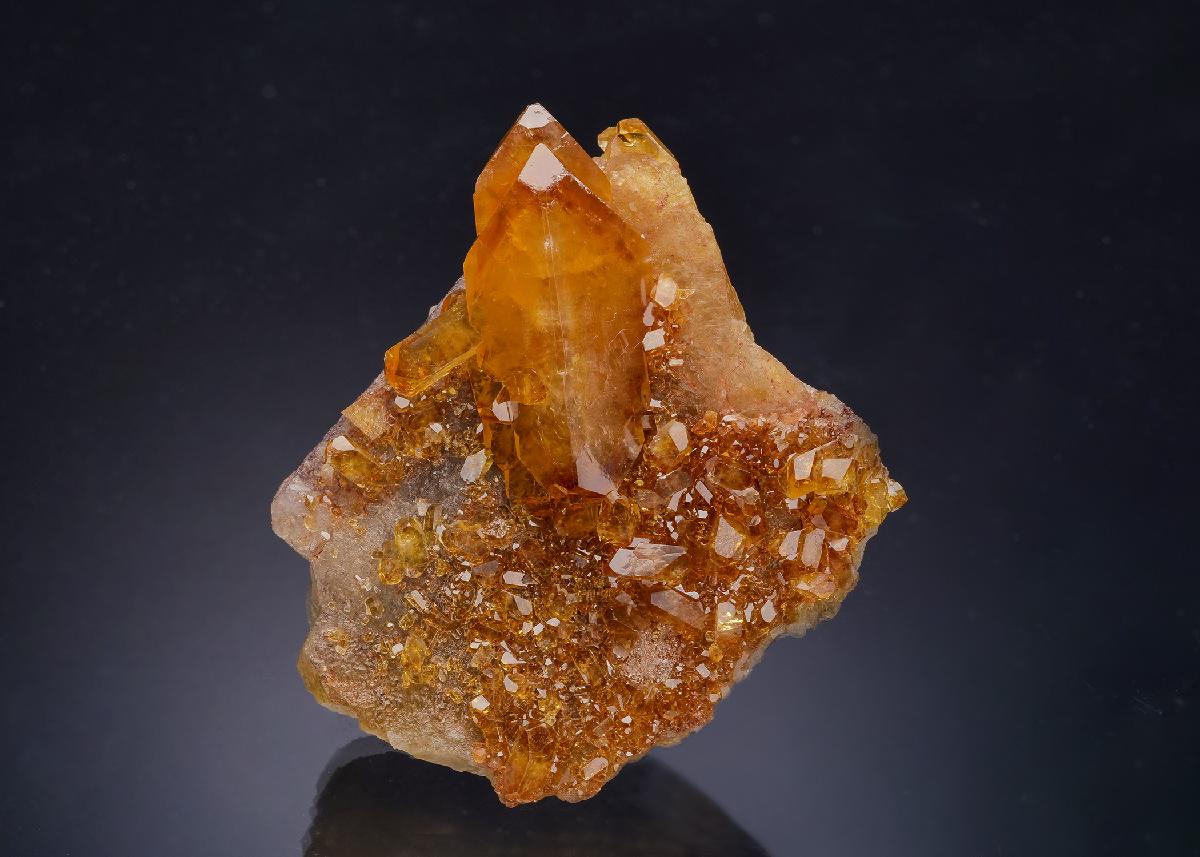 CC18828 specimen image