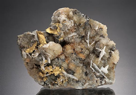 CC18831 specimen image