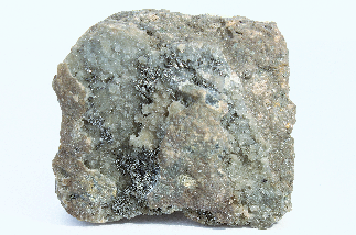 CC18832 specimen image