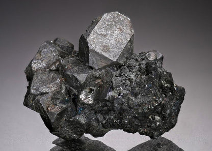 CC18851 specimen image