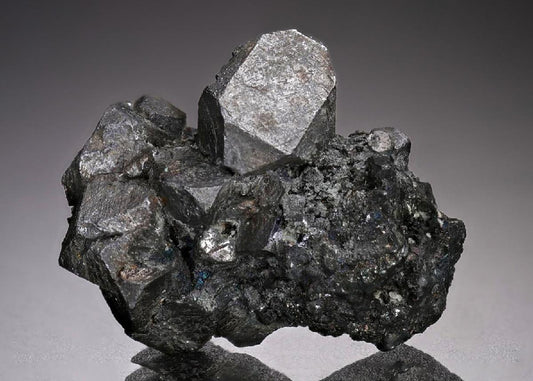 CC18851 specimen image