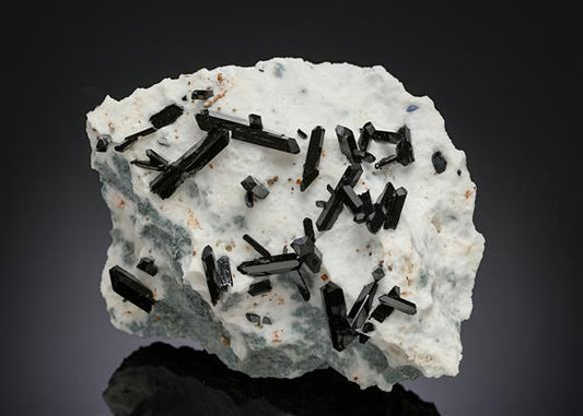 CC18865 specimen image