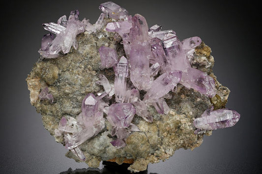 CC18870 specimen image