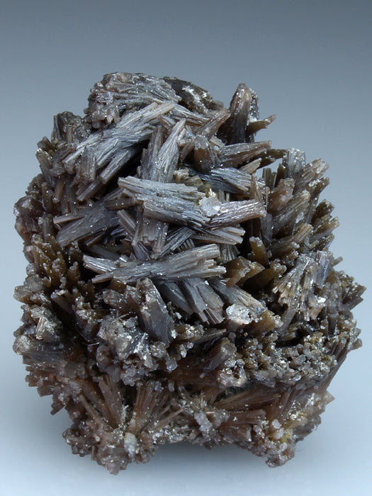 CC1891 specimen image