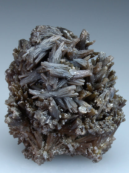 CC1891 specimen image