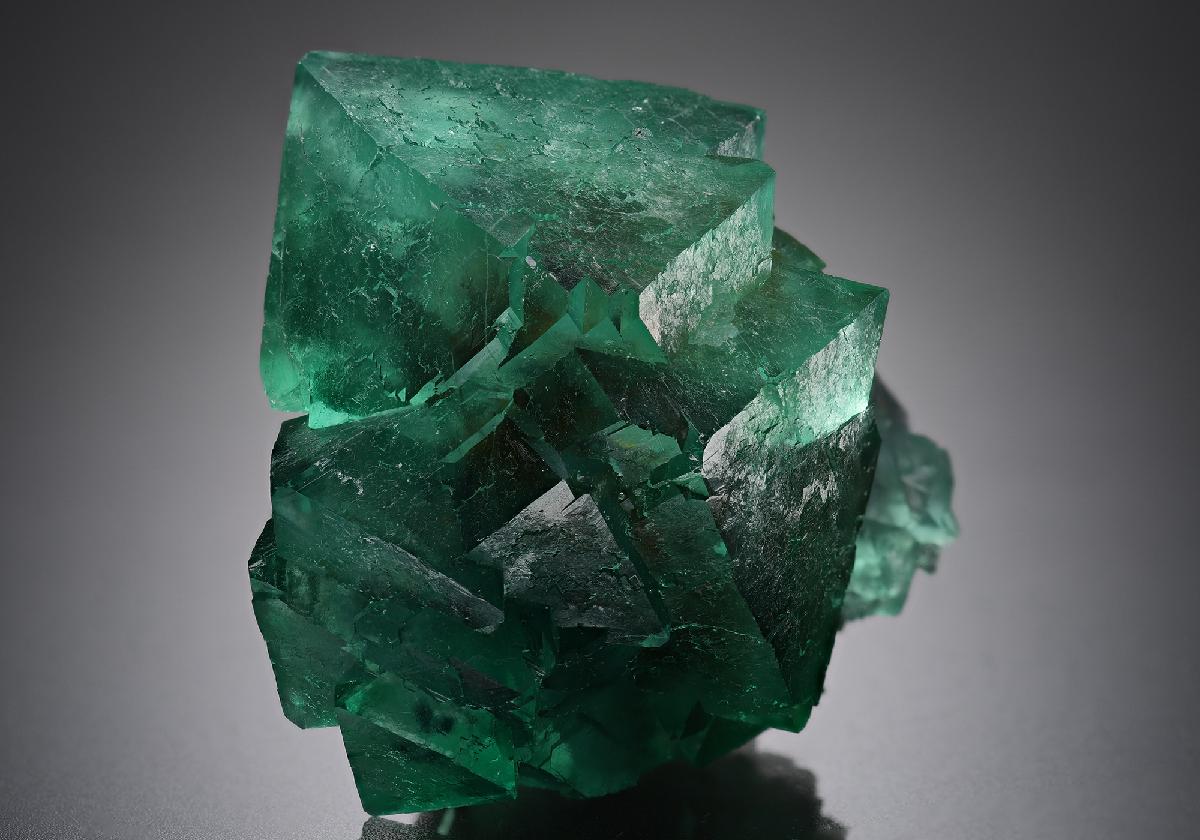 CC18930 specimen image