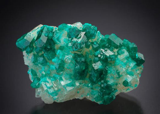 CC18935 specimen image