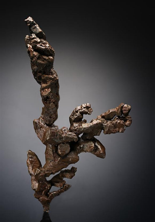 CC18944 specimen image