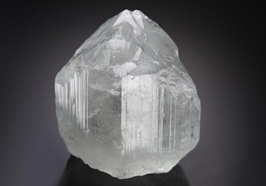 CC18969 specimen image