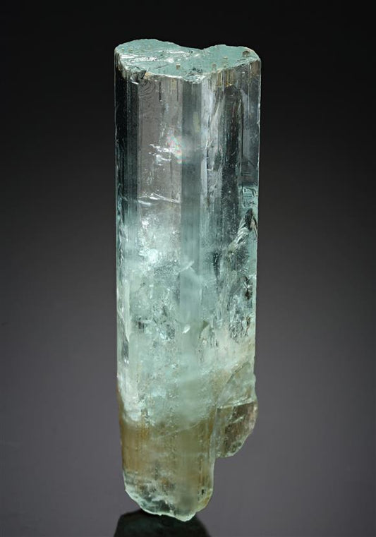 CC18972 specimen image