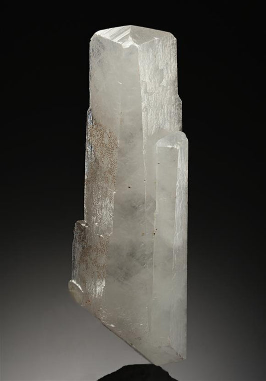 CC18973 specimen image