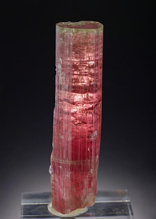 CC18979 specimen image