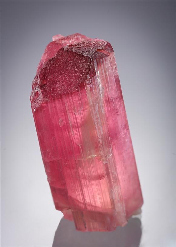 CC18992 specimen image
