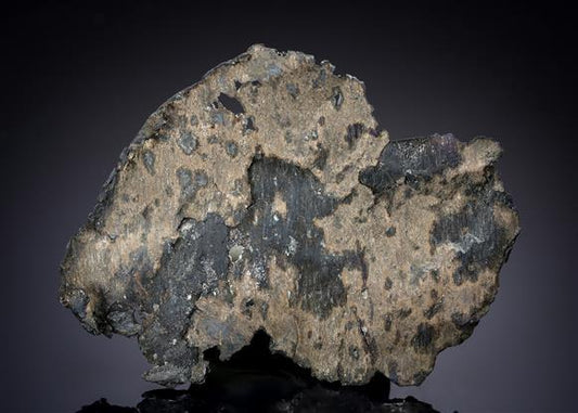 CC19018 specimen image