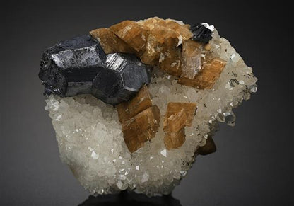 CC19026 specimen image