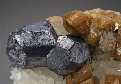 CC19026 specimen image