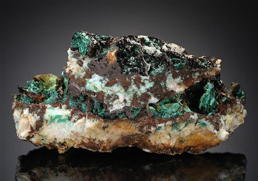 CC19027 specimen image