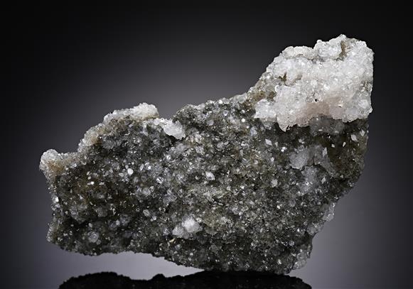 CC19029 specimen image