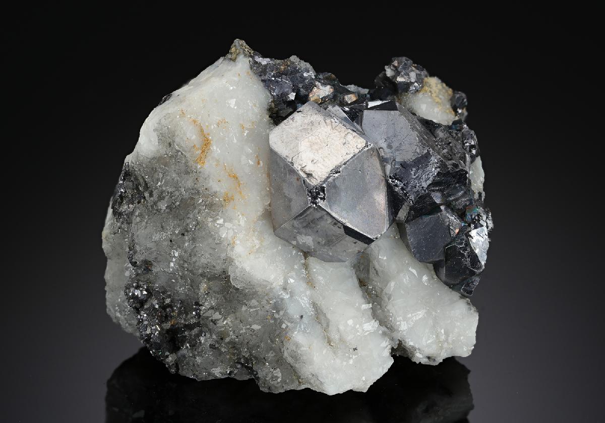 CC19035 specimen image