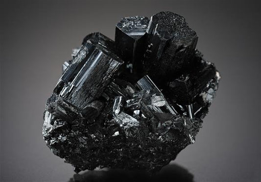 CC19038 specimen image