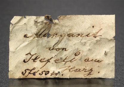 CC19040 specimen image