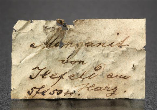 CC19040 specimen image