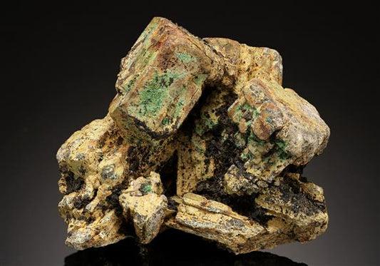 CC19053 specimen image