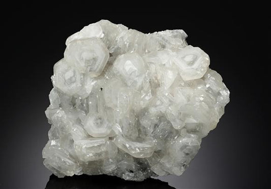 CC19068 specimen image