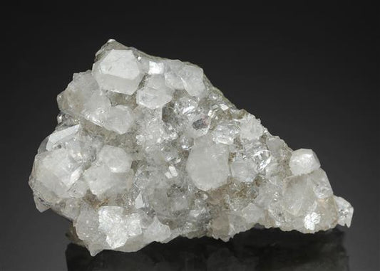 CC19079 specimen image