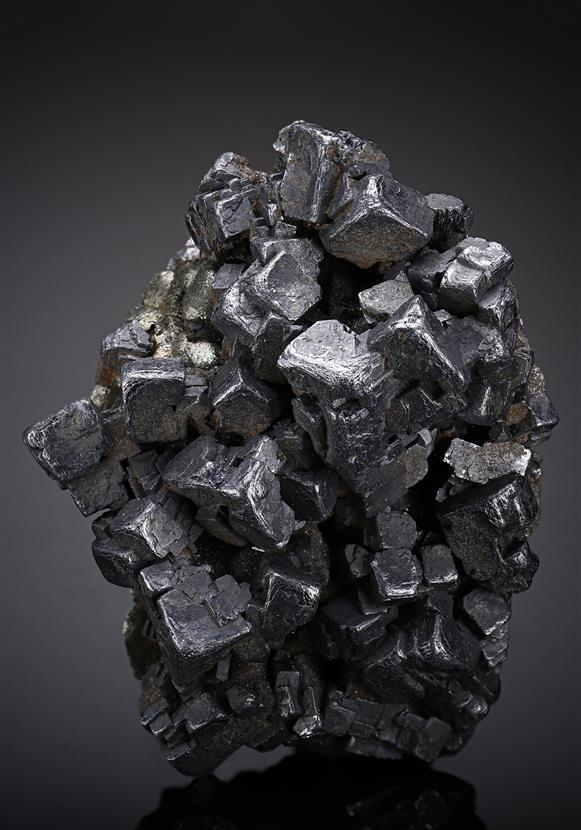 CC19100 specimen image