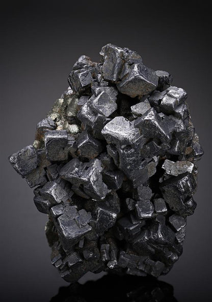 CC19100 specimen image