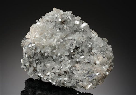 CC19104 specimen image